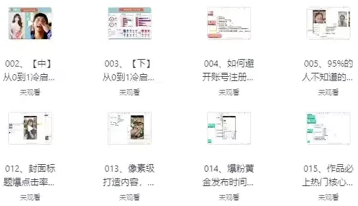 价值千元的自媒体教学课程:抖音、快手零基础玩转短视频