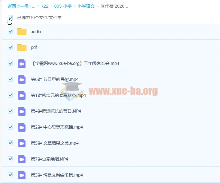 李佳薇小学五年级语文寒假班课程