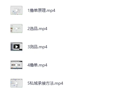 《拼多多虚拟撸单项目：直击下单转化实战指南》