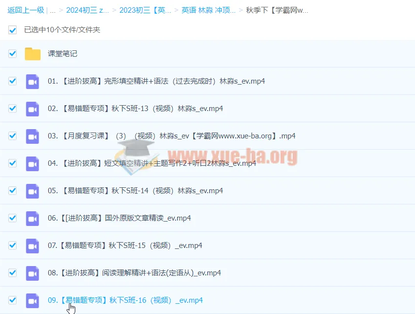 2024初三中考英语林淼冲顶秋季班（下）
