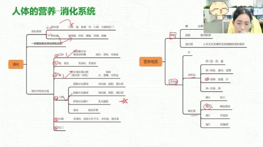 初一生物春季课程：全面掌握人体系统与健康