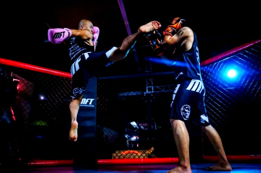 陈鹤皋无限制格斗术:实战导向的厉害防身术