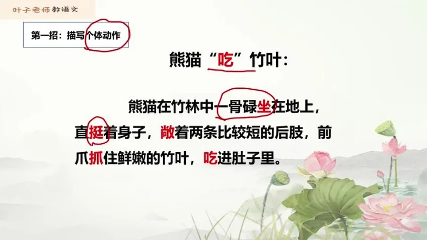 叶子老师小学语文阅读写作技巧全攻略