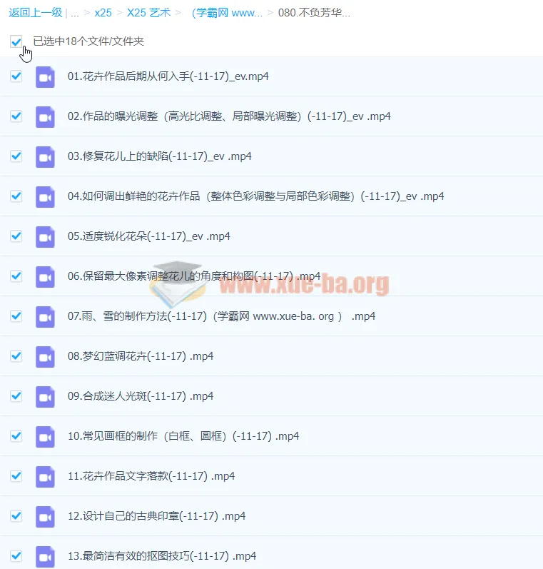《不负芳华:花卉摄影技法完全宝典后期课程》