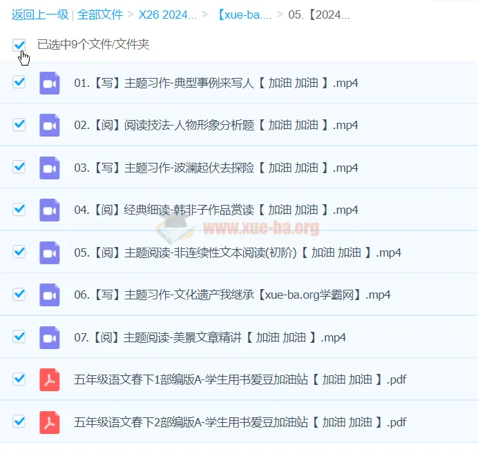 2024春下五年级语文A+班课程（张琪主讲）