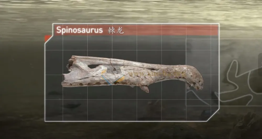 3 - 8岁儿童启蒙必看纪录片精选合集