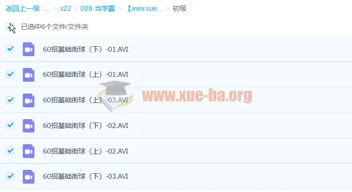 140招街球篮球初中高级教学视频分享