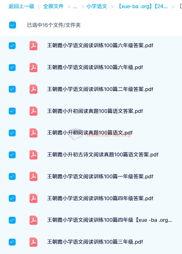 王朝霞小学语文阅读训练100篇(1 - 6年级)2024寒假版