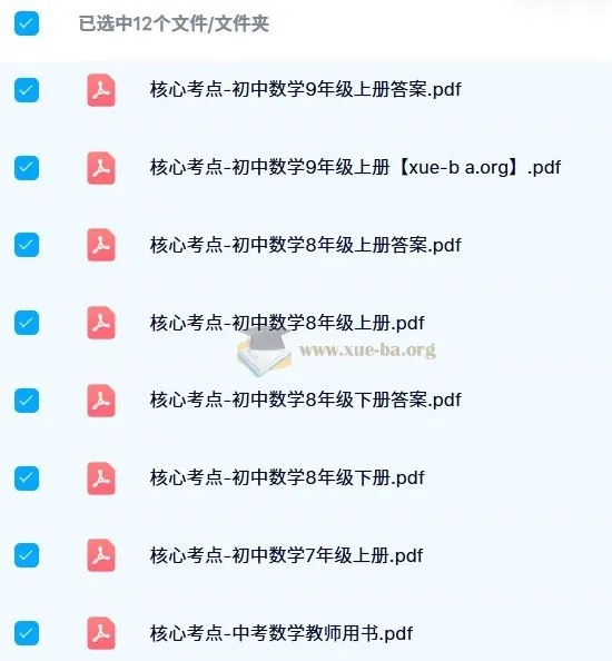 核心考点 - 初中数学资料合集