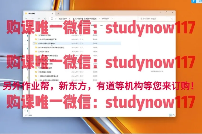 2024徐敏高考数学精讲班：考点突破+题型精解