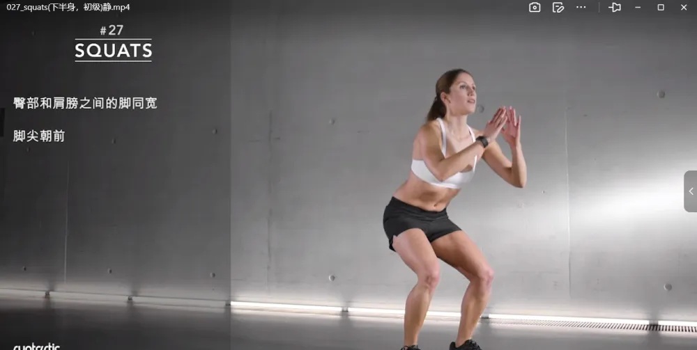 专业私人健身教程，多部位训练全覆盖