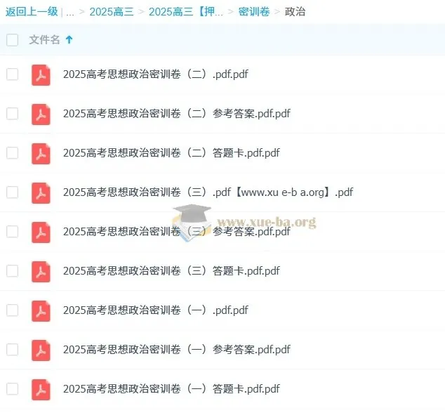 2025高考政治密训卷