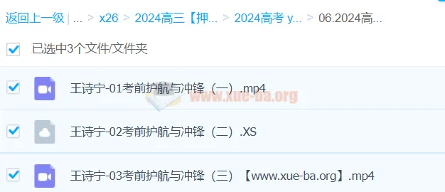 王诗宁2024高三高考英语押题冲刺班