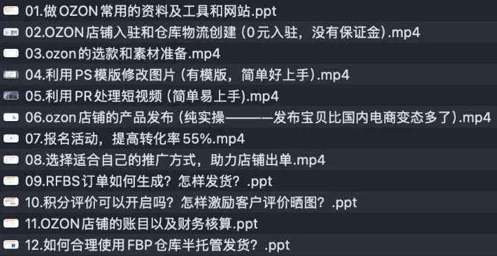 俄罗斯跨境OZON电商运营实战课:快速上手,掌握俄罗斯市场全攻略