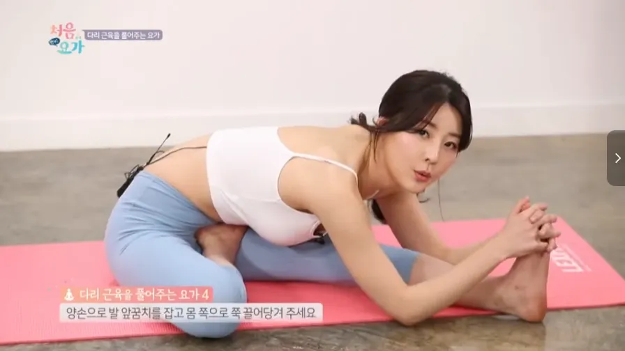 《韩国女神雅英瑜伽视频教程合集》