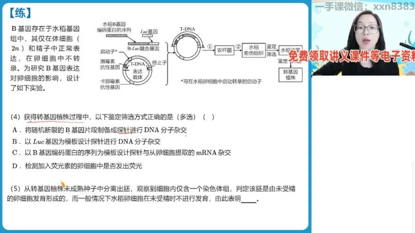 高二生物寒假尖端班:DNA技术与基因工程(周云主讲)