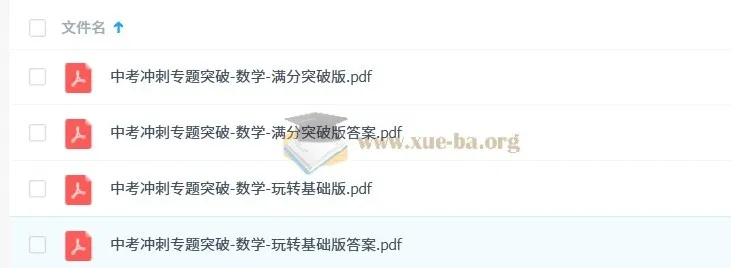 中考冲刺专题突破 - 数学（玩转基础版 + 满分突破版）