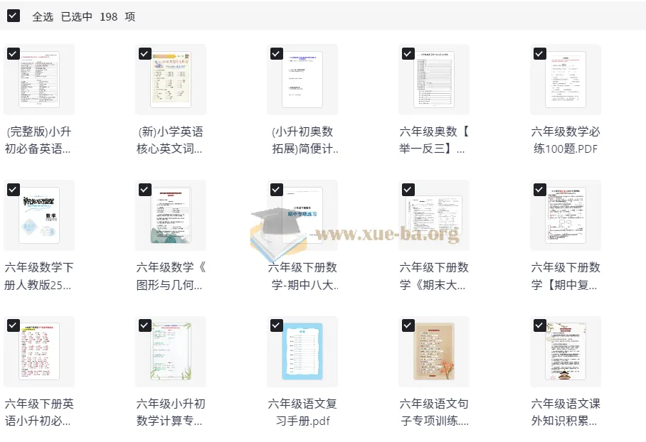 小学六年级小升初备考资料大全