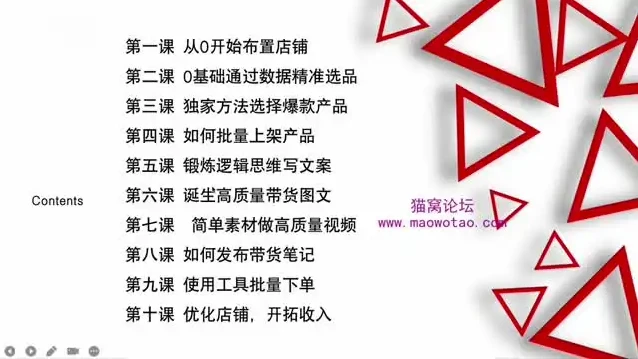 小红书变现实战指南：从0到1打造商单号