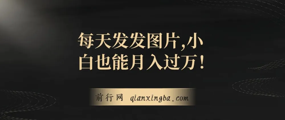 揭秘:一单利润19.9,一天100单,小白发发图片月入过万项目