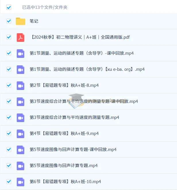 刘怡初二物理培训班（2024秋季·全国通用版·A+班）