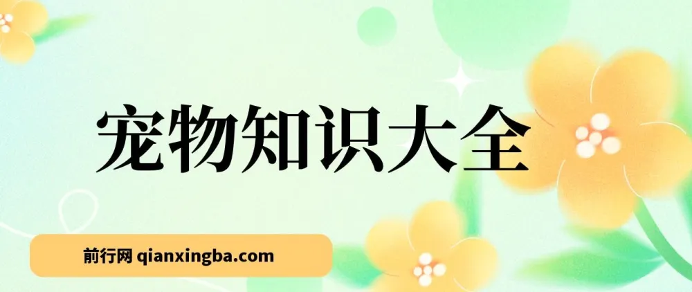 宠物知识大全项目课程：真正的蓝海小众稳定收益项目