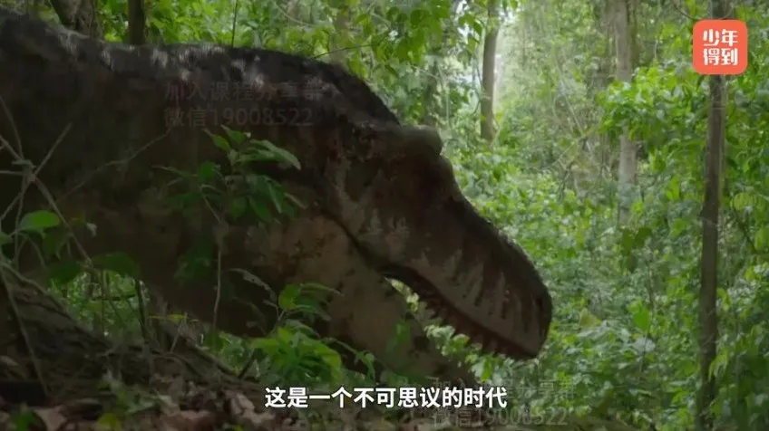 探秘恐龙世界：古生物学习指南