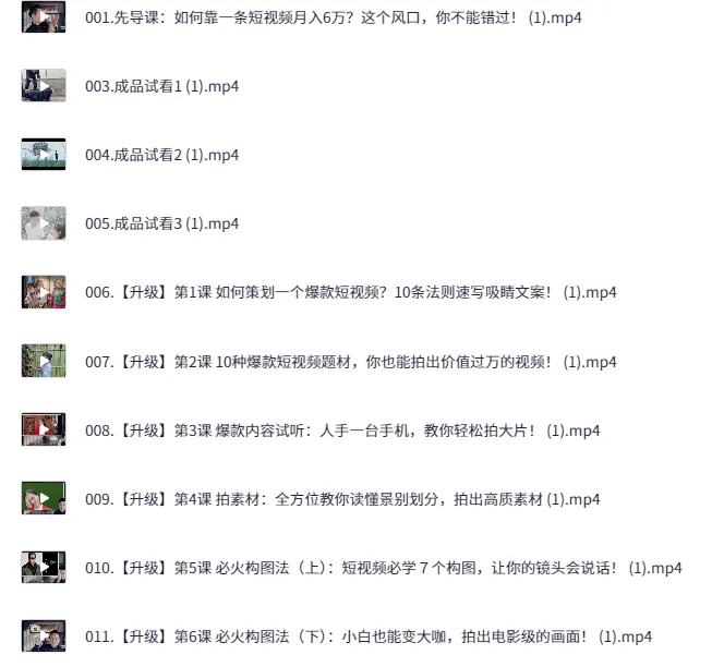 爆火全网的手机短视频变现课：0基础实现拍摄剪辑涨粉运营变现