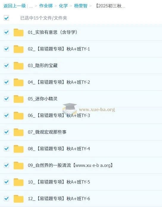 杨雯智初三中考化学秋上实验科学自主学习课程（2025 - 2026）