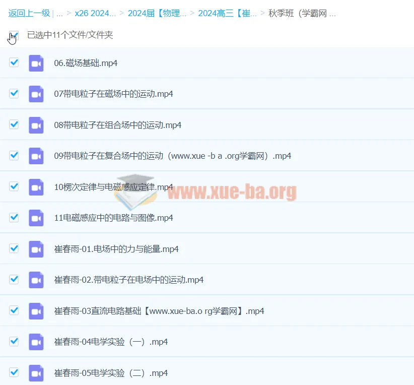 2024高三高考物理崔春雨秋季班