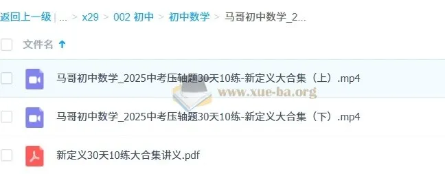 马哥初中数学中考压轴题30天10练：新定义大合集