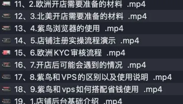 亚马逊跟卖实战课：零基础跨境开店实操教学