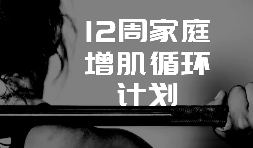 卓叔12周家庭增肌循环计划