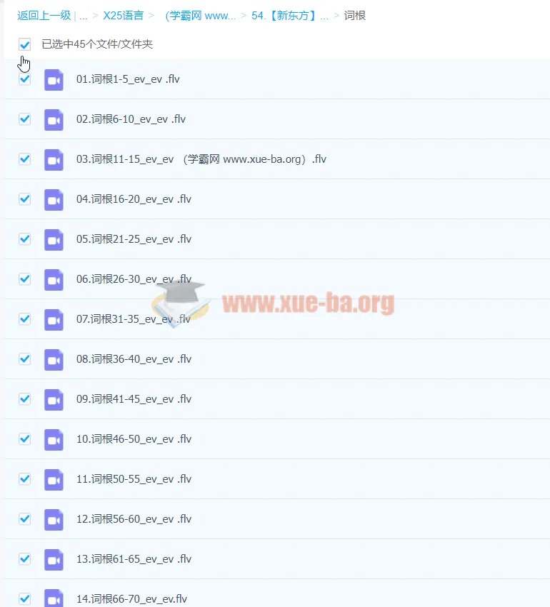 新东方陈理想词根词缀一学就会课程
