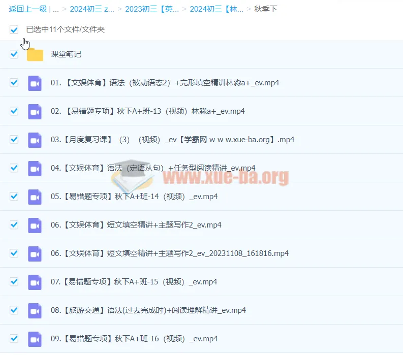 2024初三中考英语林淼A+尖端秋季班（下）