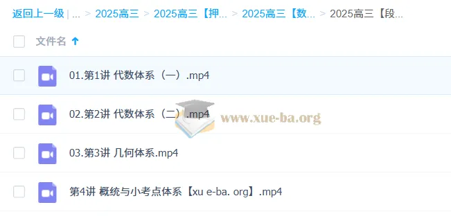 段俊逸高三高考数学点睛班