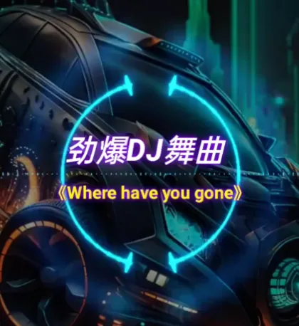 车载必备：326首抖音DJ嗨曲精选合集