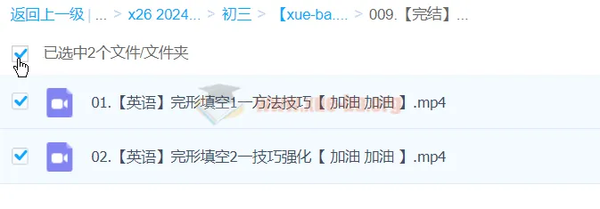 2024中考英语完形填空一本通