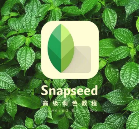 Snapseed从入门到精通：手机修图高手速成，一部手机修出摄影大片