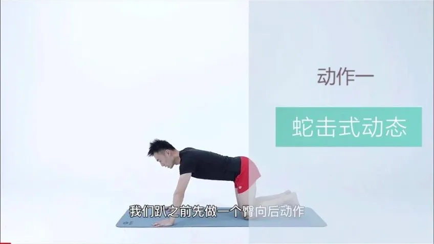 21天明星同款减脂塑形训练:告别赘肉,塑造天鹅臂、小蛮腰与翘臀