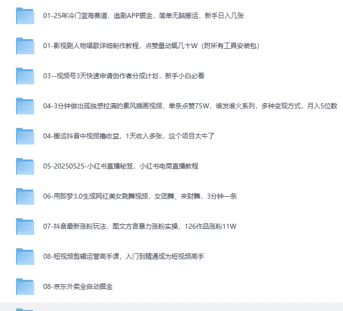 《2025网创项目合集：事业赚钱必学教程》