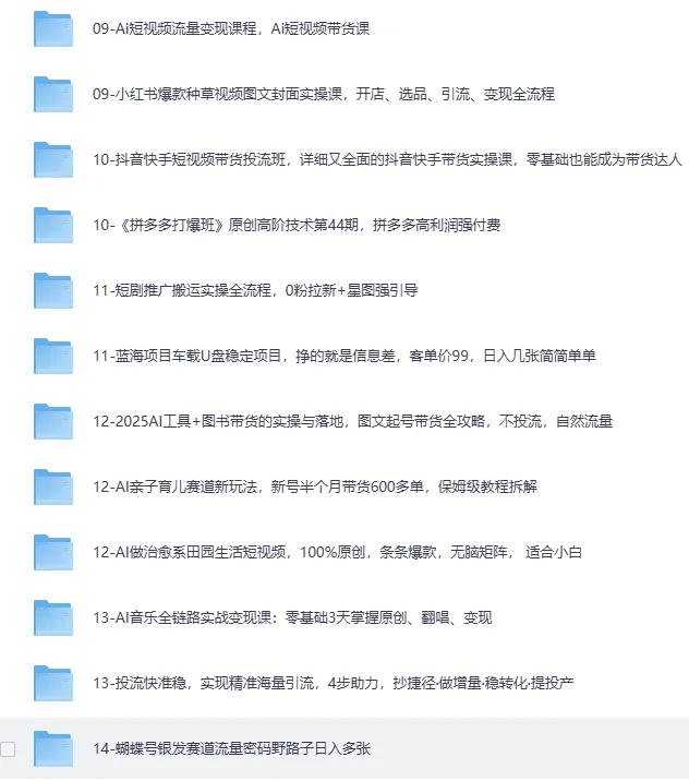 《2025网创项目合集：事业赚钱必学教程》