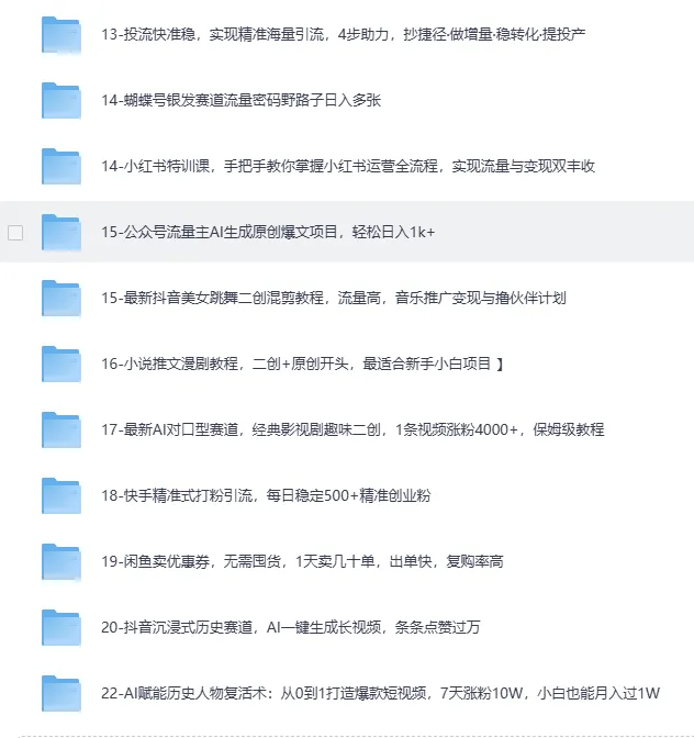 《2025网创项目合集：事业赚钱必学教程》