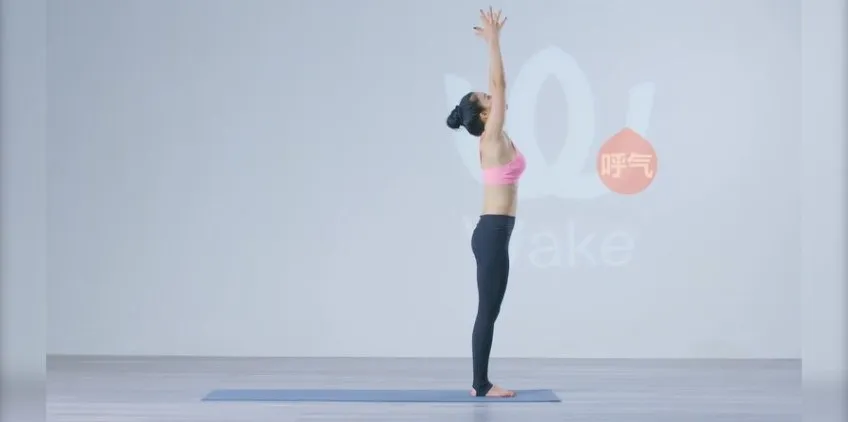 王媛24式瑜伽体式精讲课程（零基础入门）