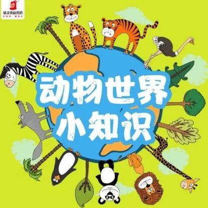 儿童睡前故事：精灵袋鼠妈妈播音《动物世界的77个小知识》77集