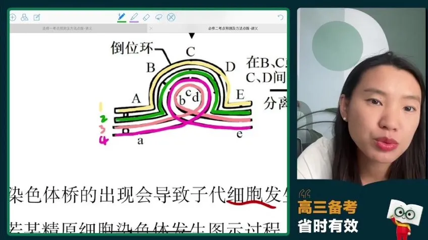 2024高三毛慧生物冲刺班：必修选修考点精讲