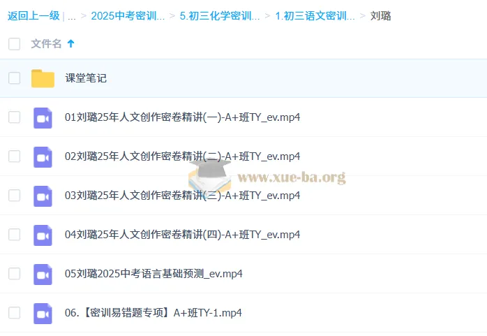 刘璐初三语文中考密训班（2025全国通用版）