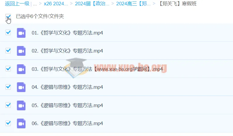 2024年高三高考郑关飞政治二轮寒假班