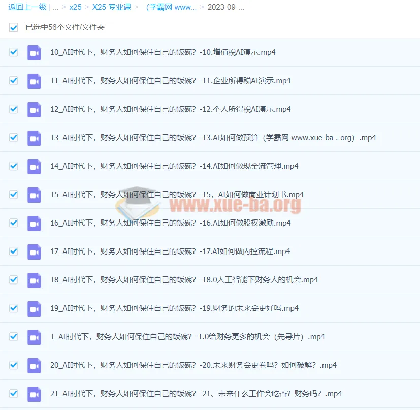 AI+财务人员进阶必修课二合一视频课