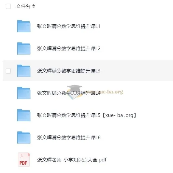 张文晖满分数学思维提升课L1 - L6